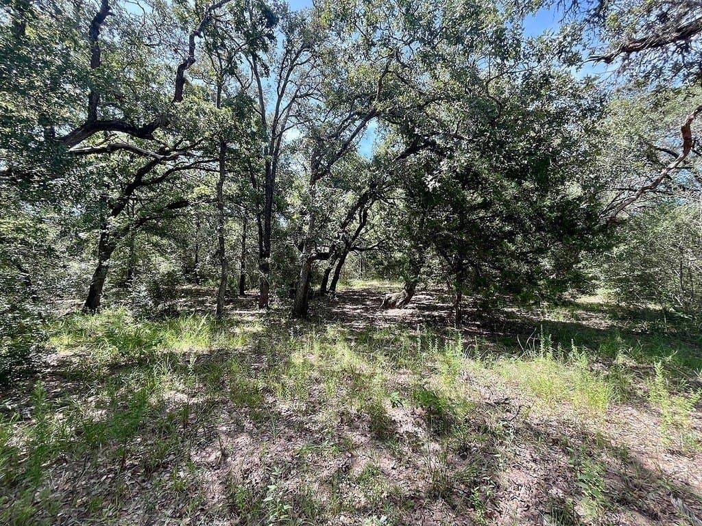 11.28 acres in Colorado County - photo 10