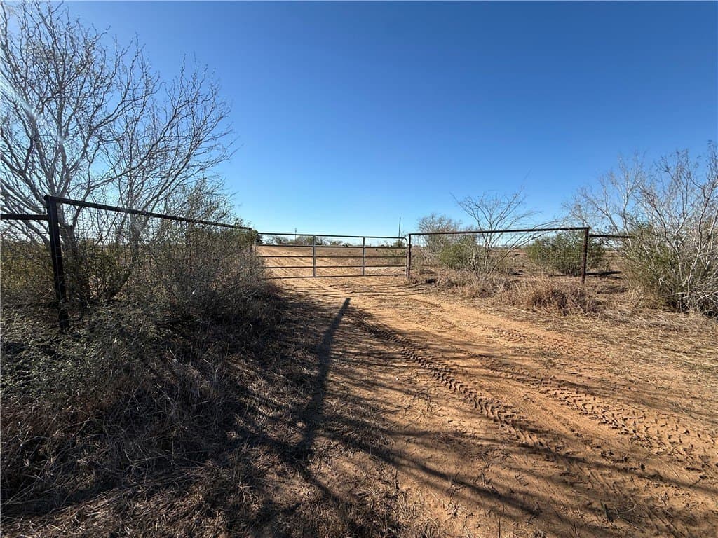 115 acres in Jim Wells County - photo 5