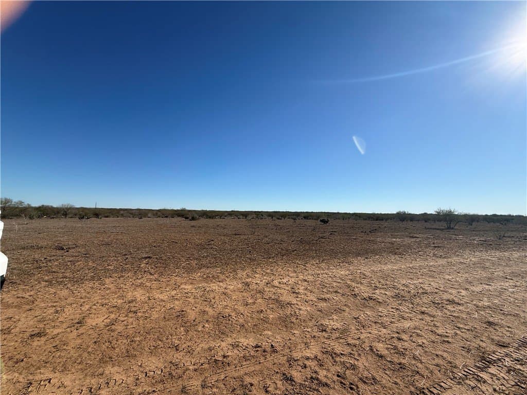 115 acres in Jim Wells County - photo 2