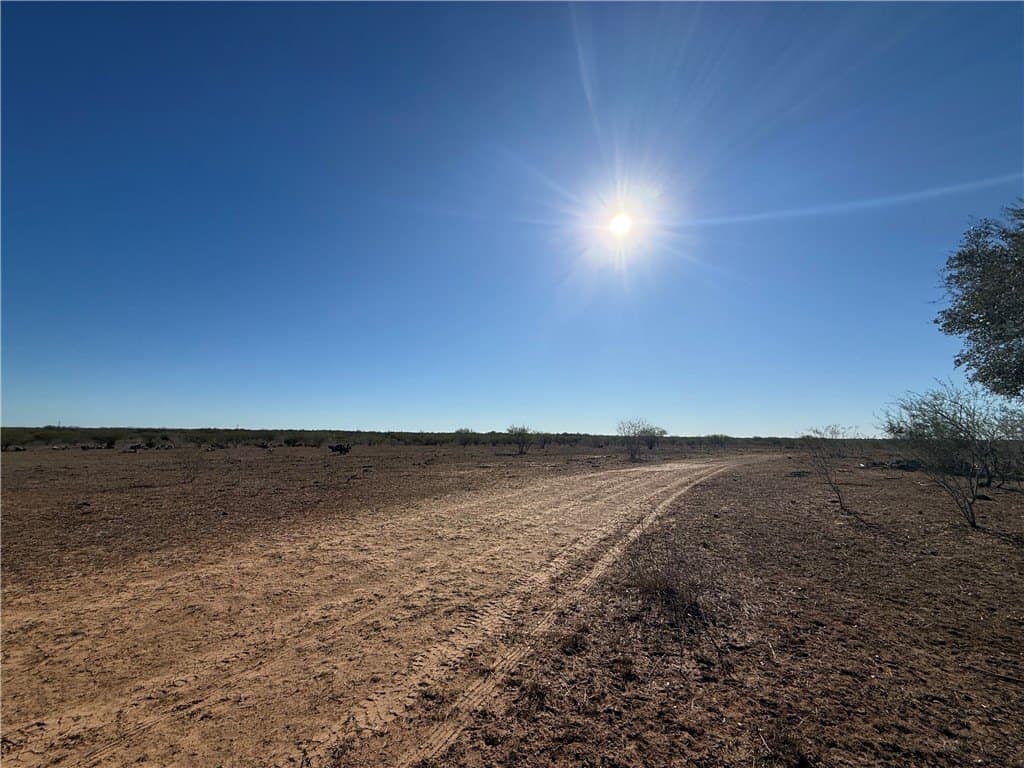 115 acres in Jim Wells County - photo 3