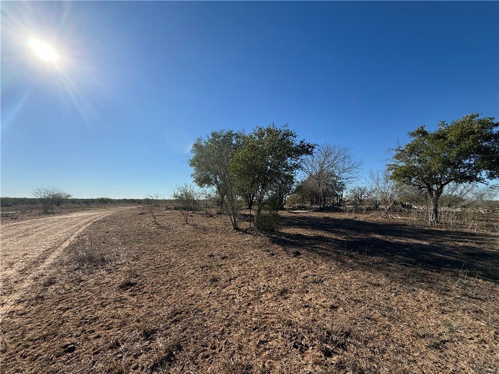 115 acres in Jim Wells County - photo 4