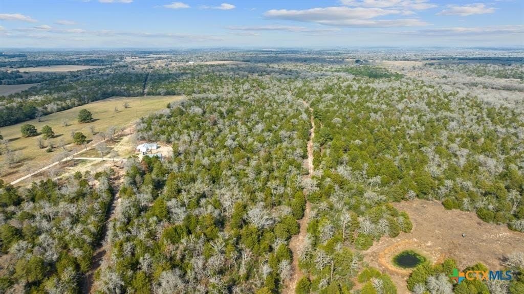 11.6 acres in Bastrop County - photo 8