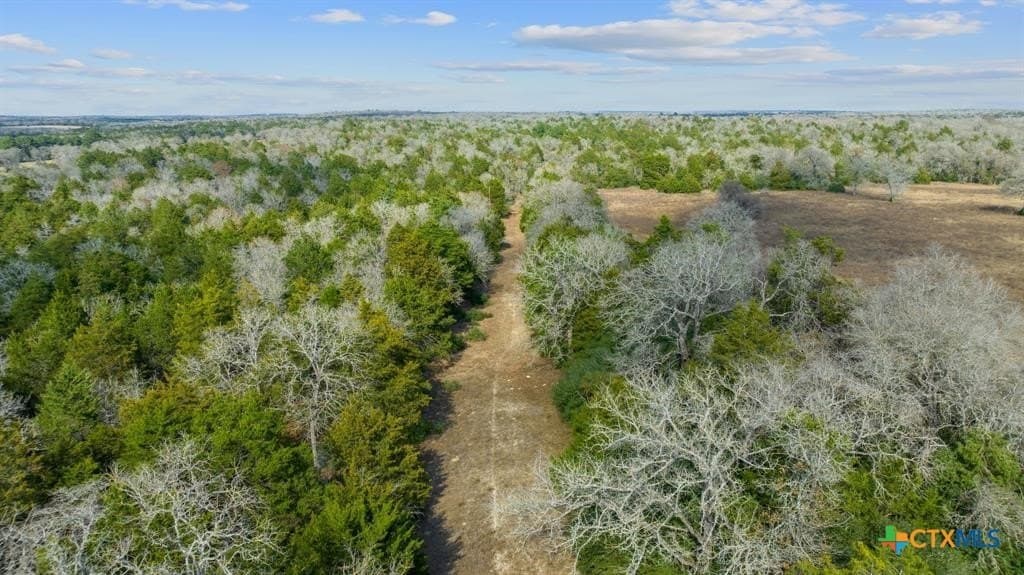 11.6 acres in Bastrop County - photo 4