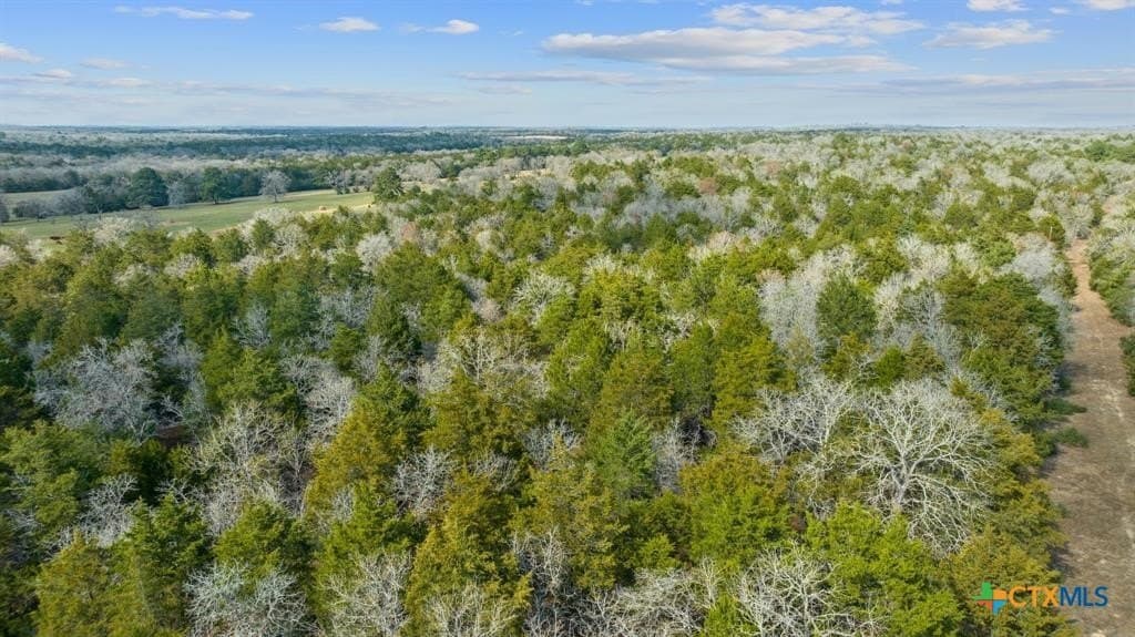 11.6 acres in Bastrop County - photo 2
