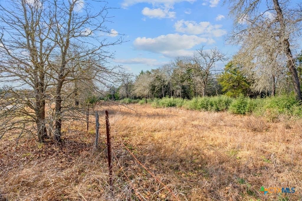 11.6 acres in Bastrop County - photo 14