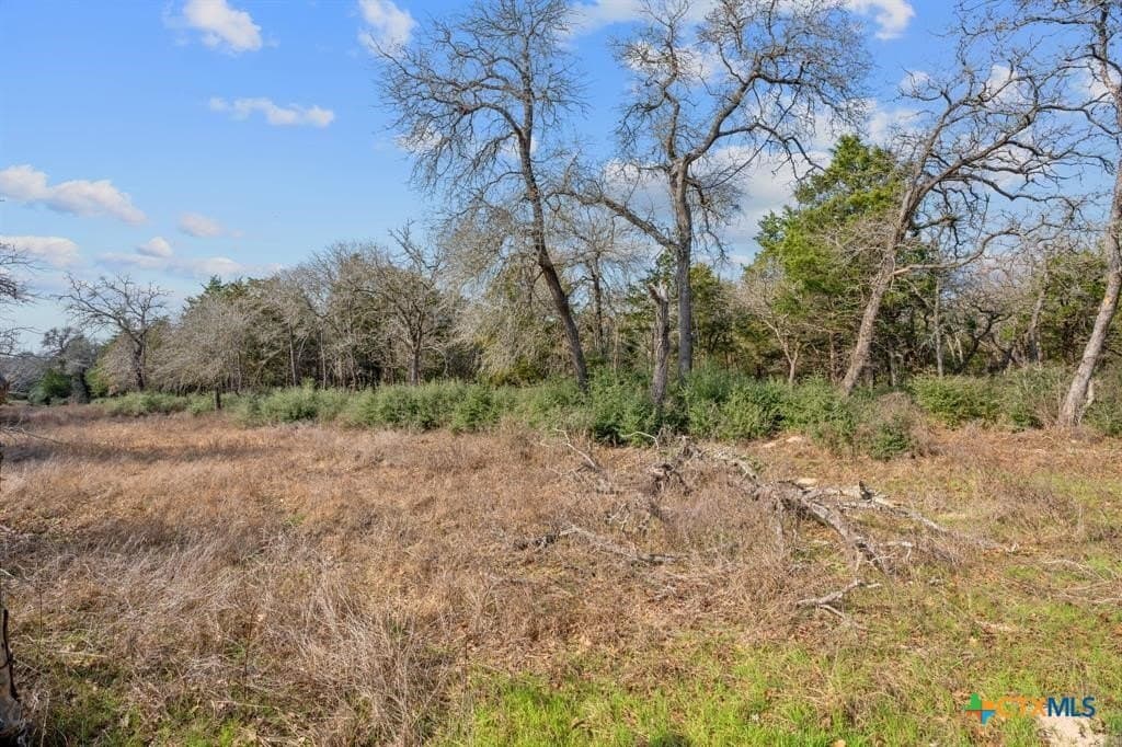 11.6 acres in Bastrop County - photo 10