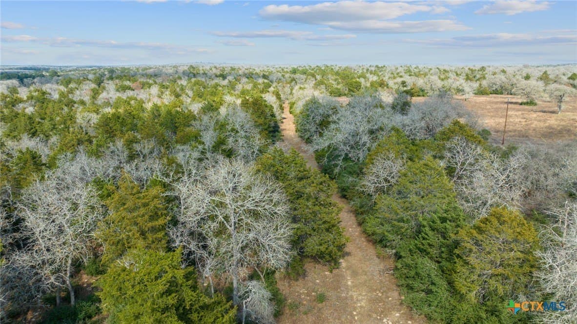 11.6 acres in Bastrop County - photo 16