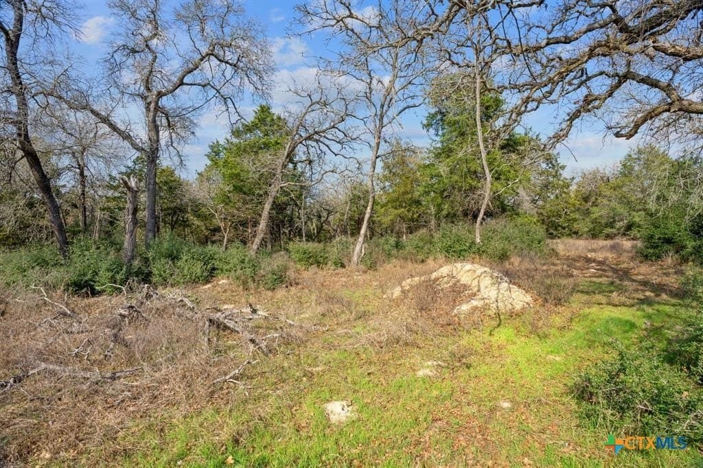 11.6 acres in Bastrop County - photo 11