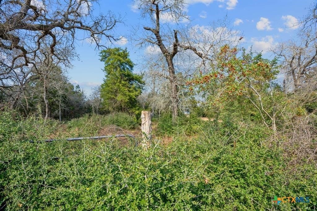 11.6 acres in Bastrop County - photo 13