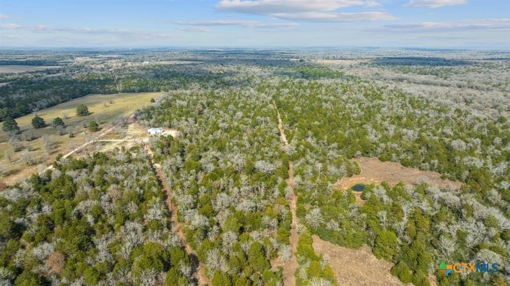 11.6 acres in Bastrop County - photo 7