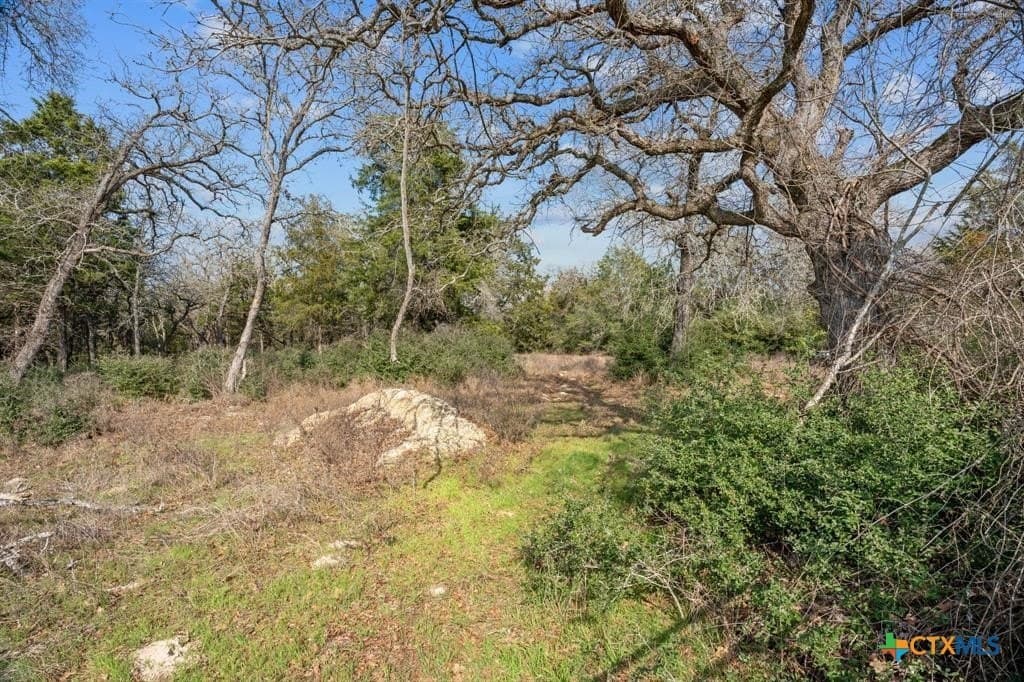 11.6 acres in Bastrop County - photo 6