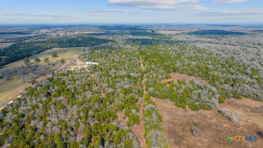 11.6 acres in Bastrop County - photo 5