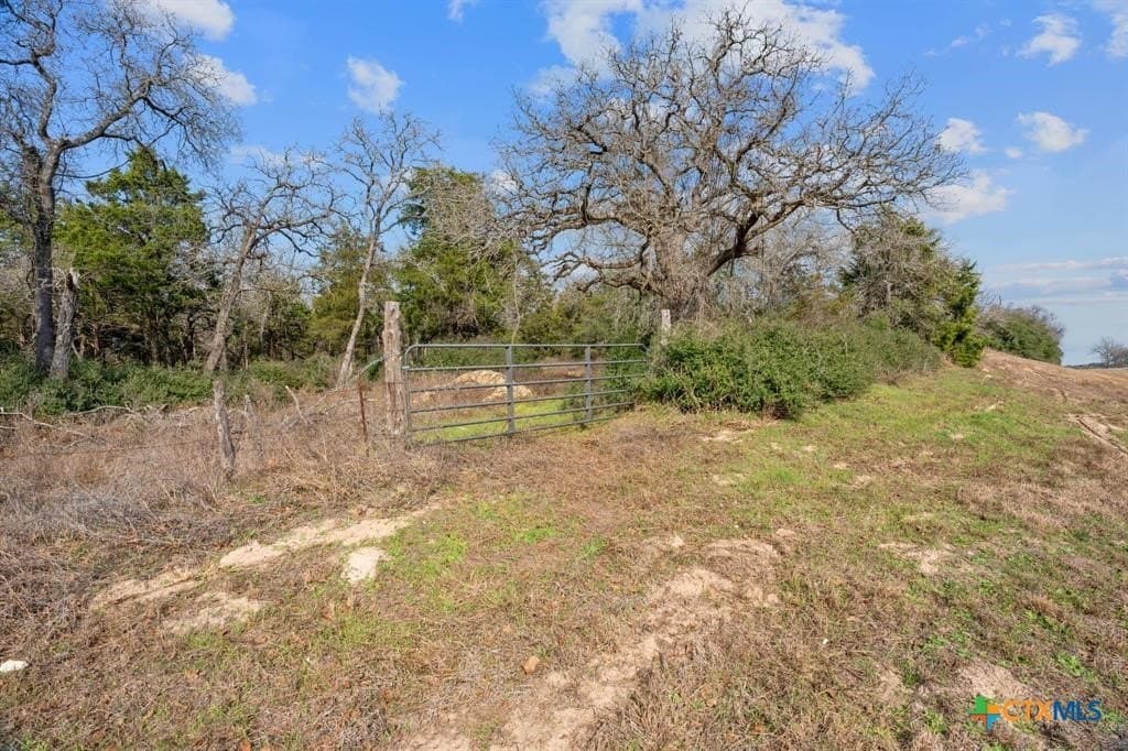 11.6 acres in Bastrop County - photo 3