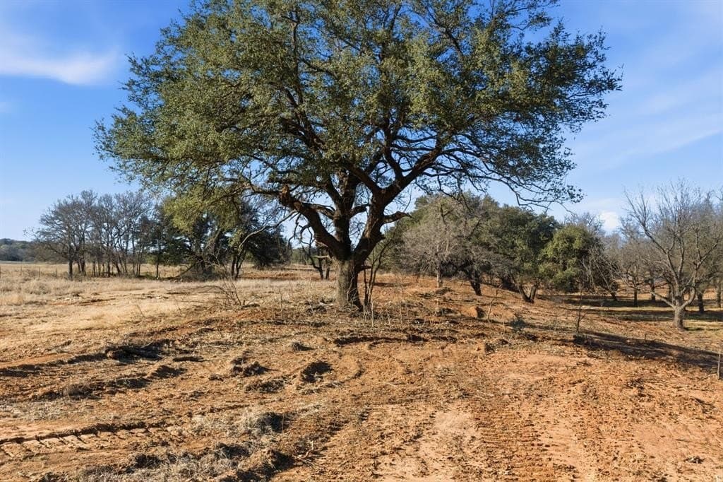 112.35 acres in Hood County - photo 29