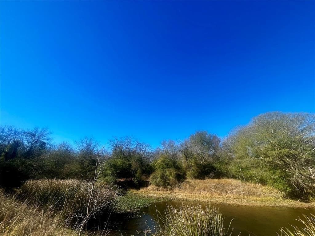 1 acres in Limestone County - photo 4