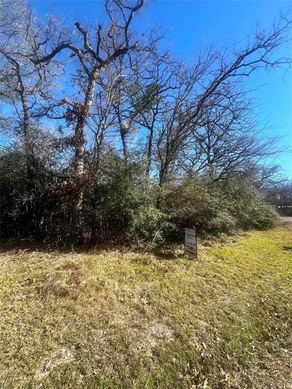 1 acres in Limestone County - photo 12