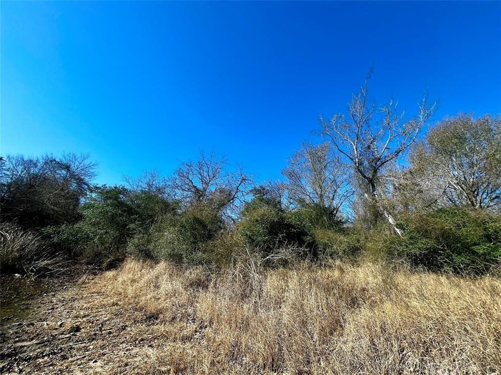 1 acres in Limestone County - photo 11