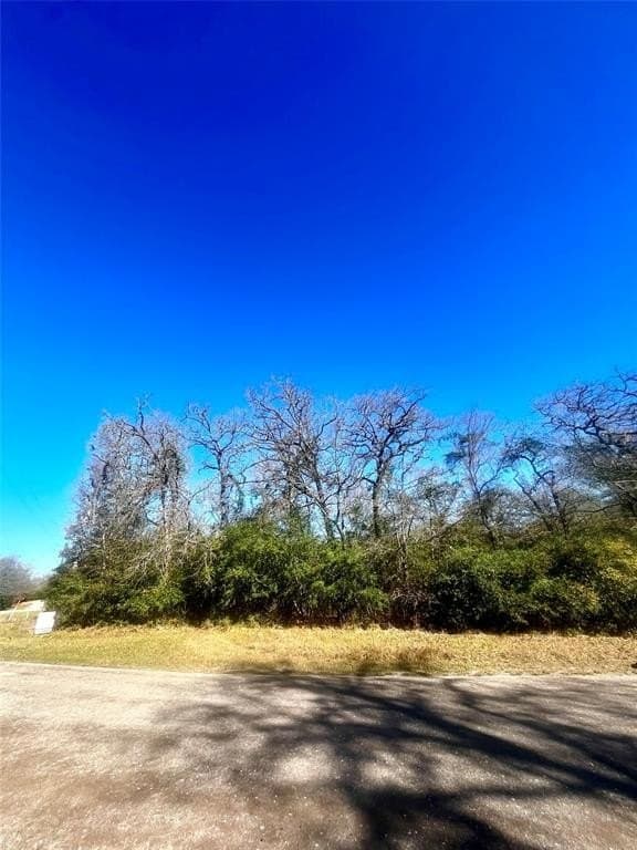 1 acres in Limestone County - photo 10