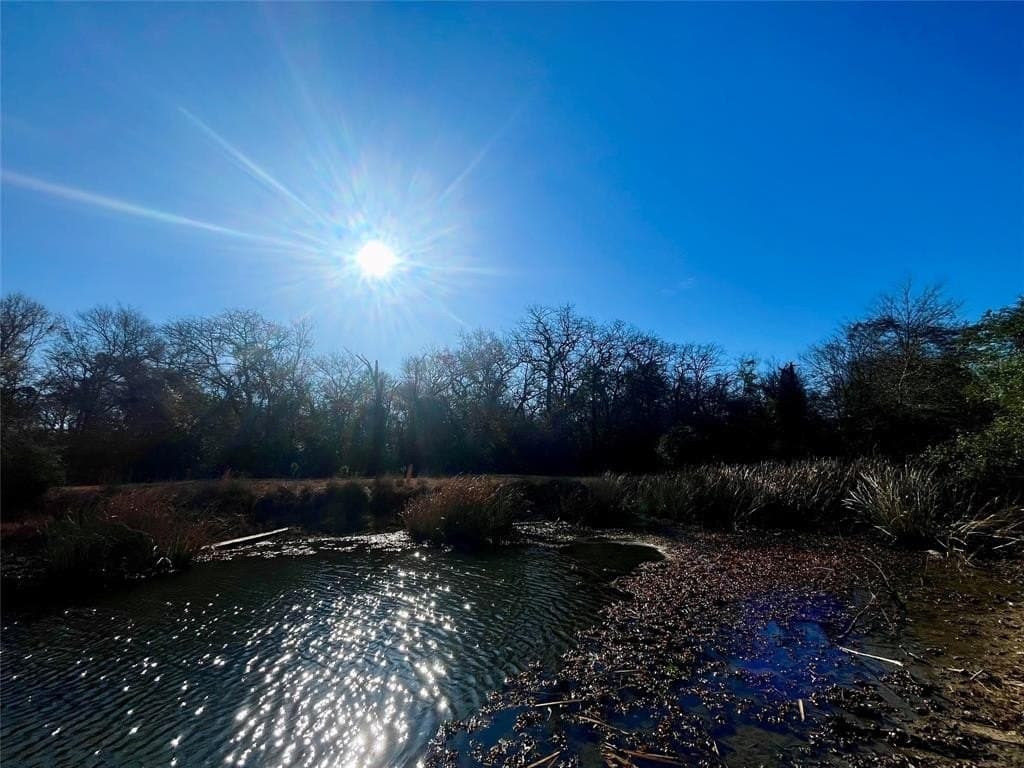 1 acres in Limestone County - photo 9