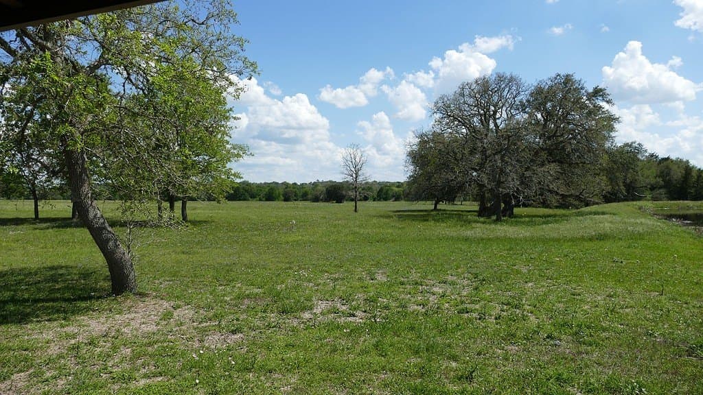 110.62 acres in Fayette County - photo 17