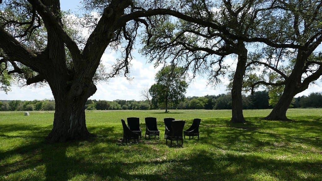 110.62 acres in Fayette County - photo 11