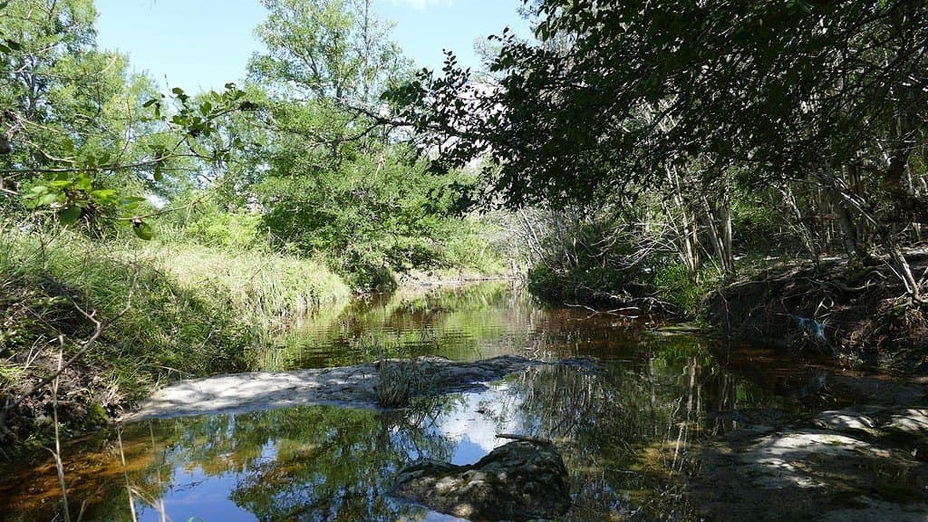 110.62 acres in Fayette County - photo 25