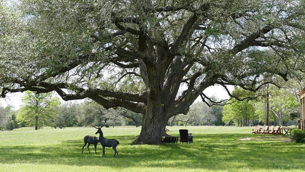 110.62 acres in Fayette County - photo 2