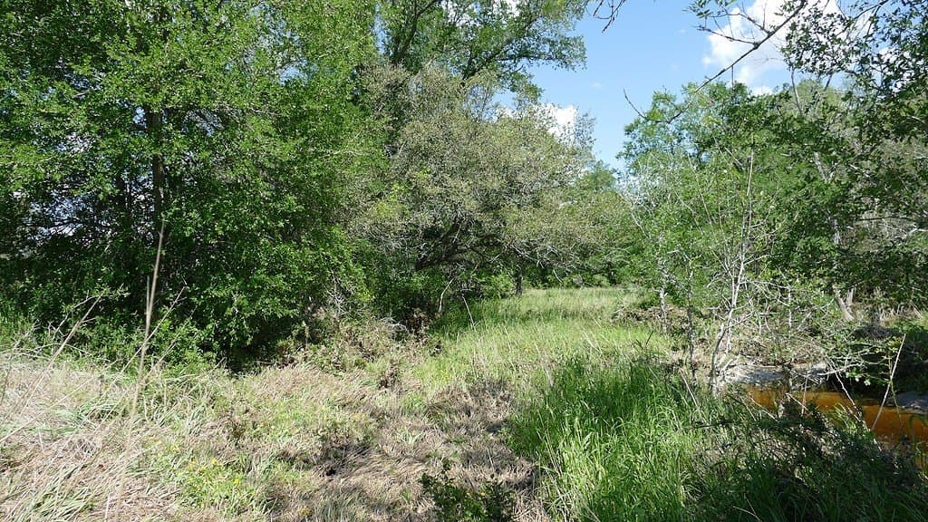 110.62 acres in Fayette County - photo 23
