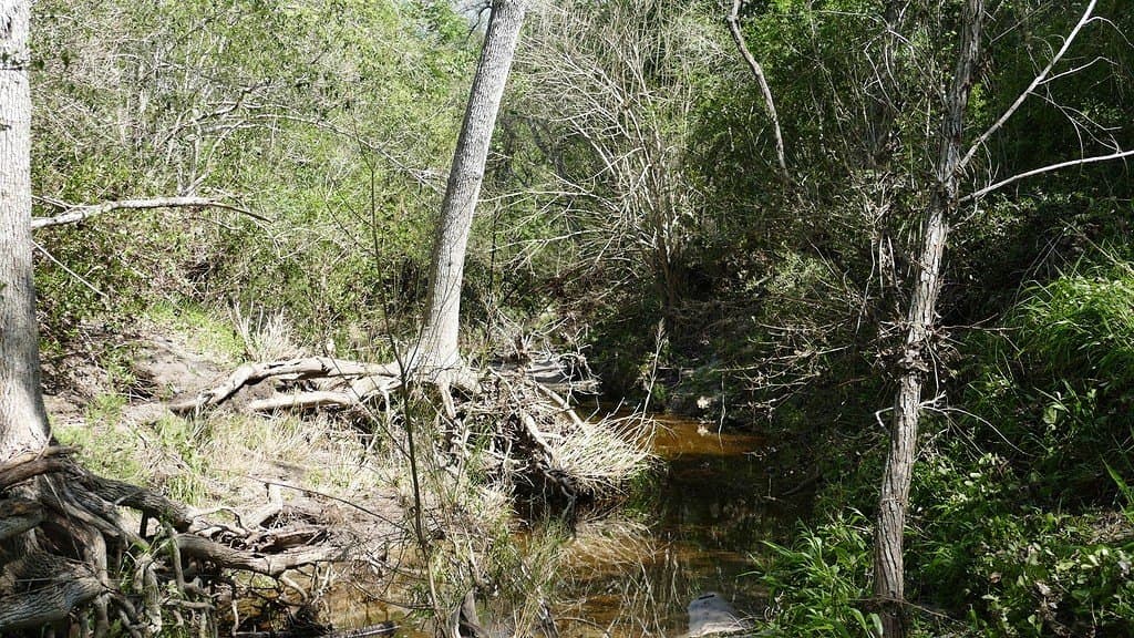 110.62 acres in Fayette County - photo 28