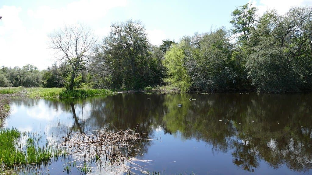 110.62 acres in Fayette County - photo 20