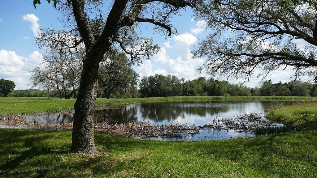 110.62 acres in Fayette County - photo 16