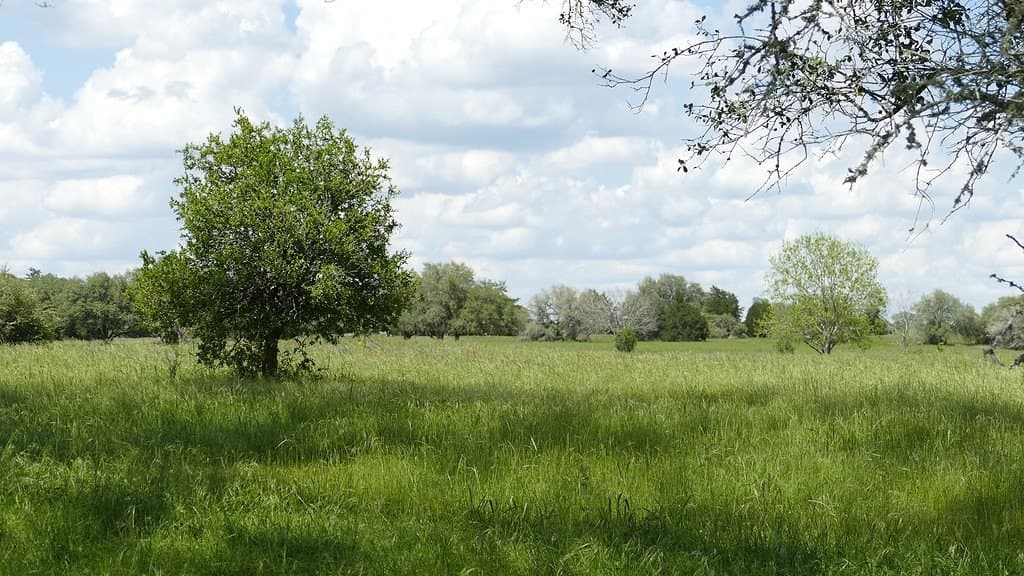 110.62 acres in Fayette County - photo 10