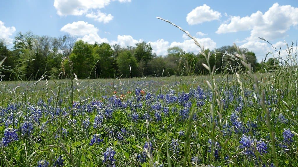 110.62 acres in Fayette County - photo 8