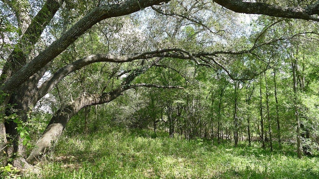 110.62 acres in Fayette County - photo 26