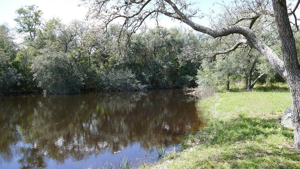 110.62 acres in Fayette County - photo 19