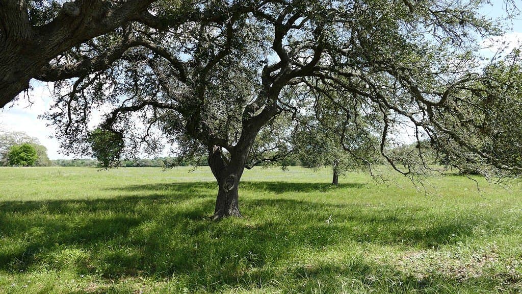 110.62 acres in Fayette County - photo 22