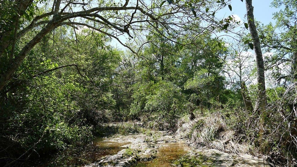 110.62 acres in Fayette County - photo 24
