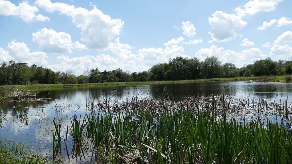 110.62 acres in Fayette County - photo 21
