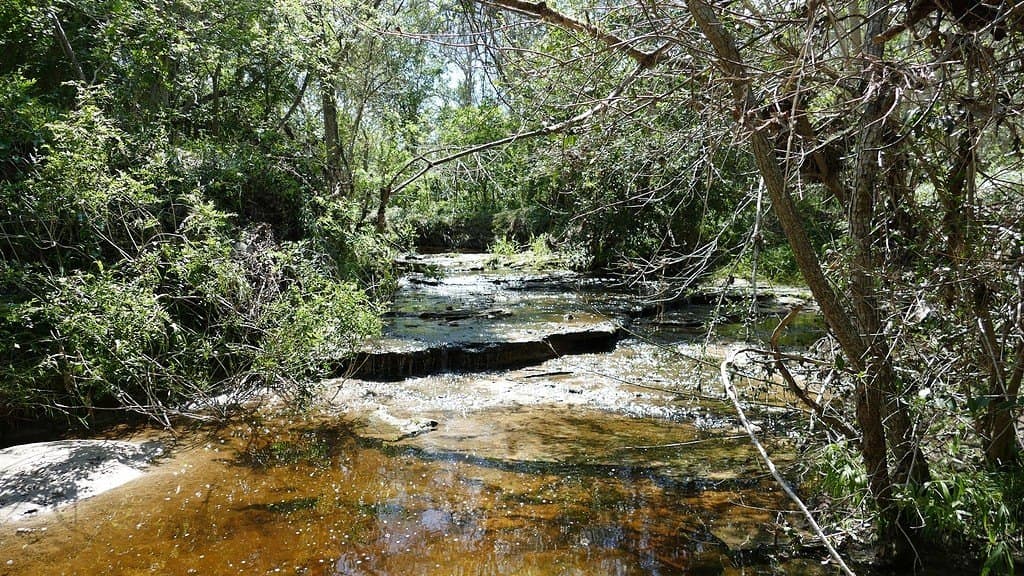 110.62 acres in Fayette County - photo 27