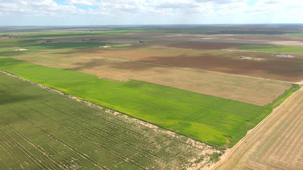 47 acres in Howard County - photo 10