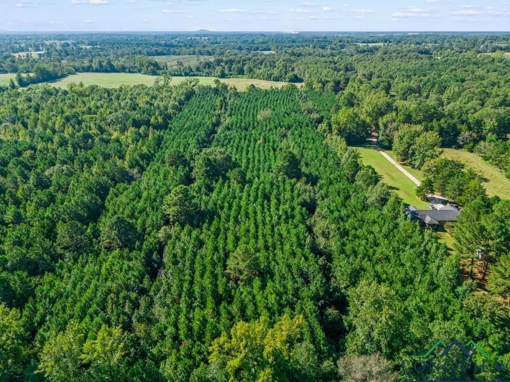 12.53 acres in Upshur County - photo 12