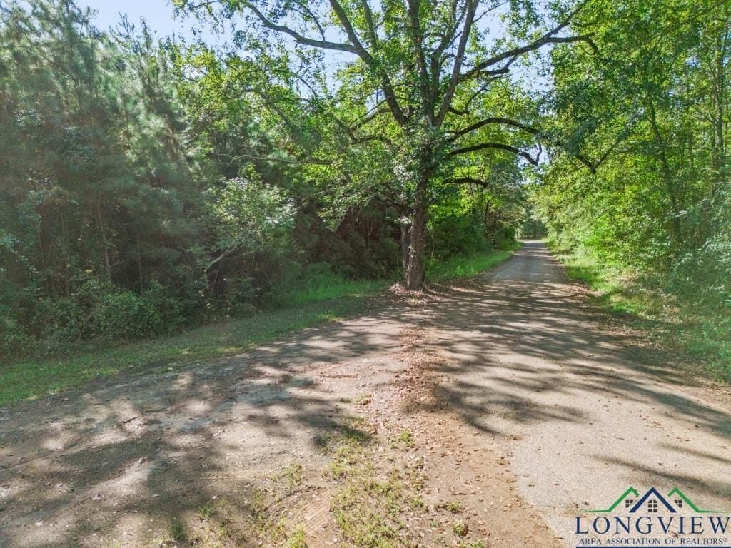 12.53 acres in Upshur County - photo 4
