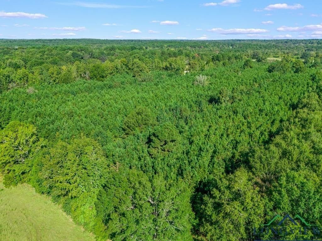 12.53 acres in Upshur County - photo 8