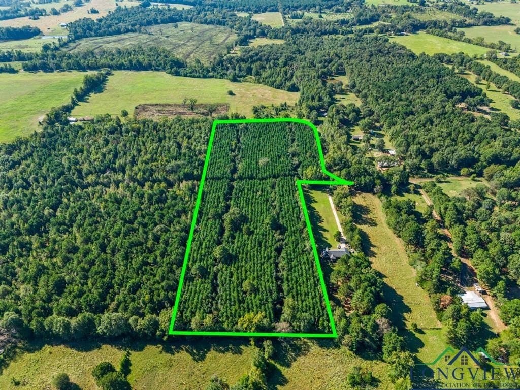 12.53 acres in Upshur County - photo 16