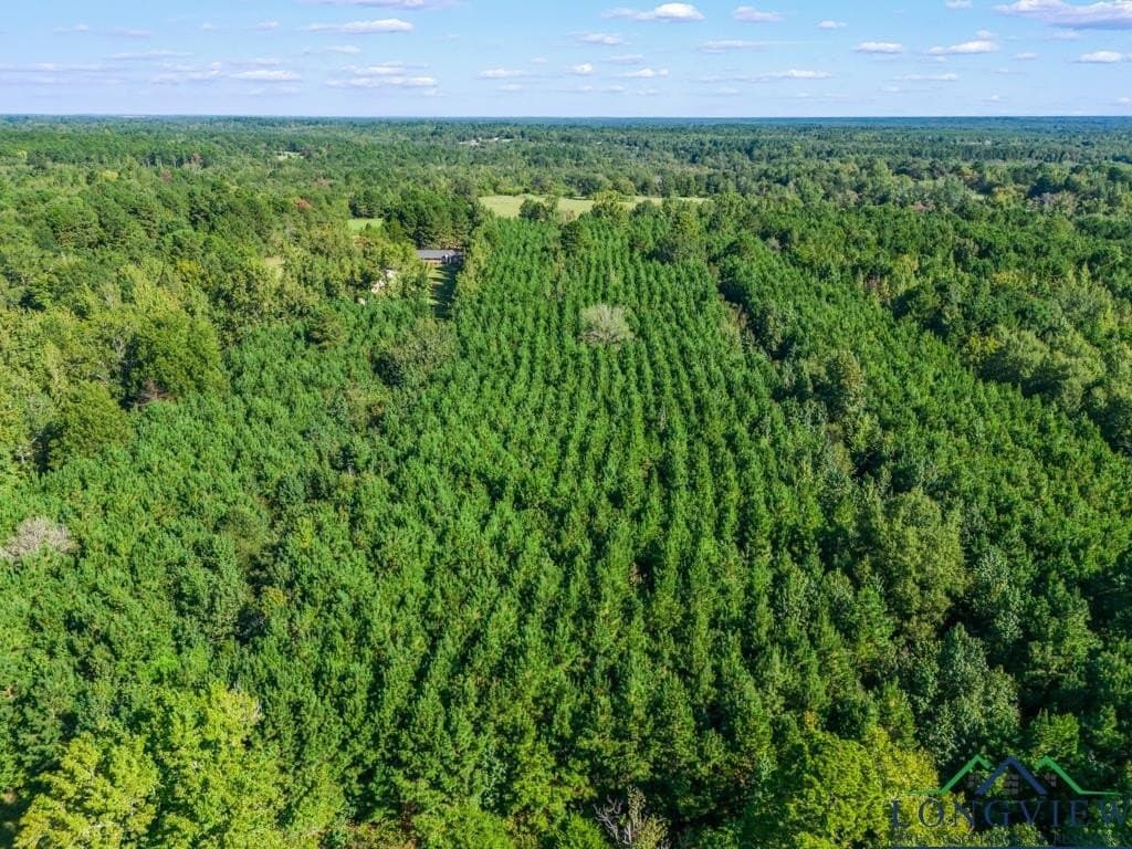 12.53 acres in Upshur County - photo 7