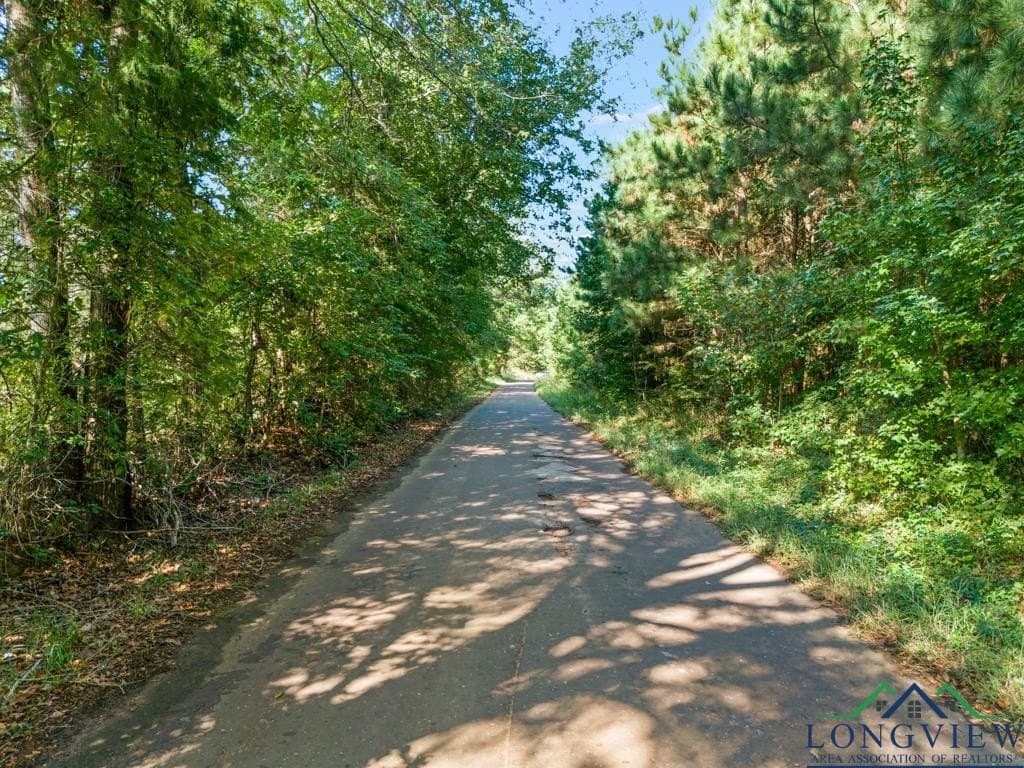 12.53 acres in Upshur County - photo 2