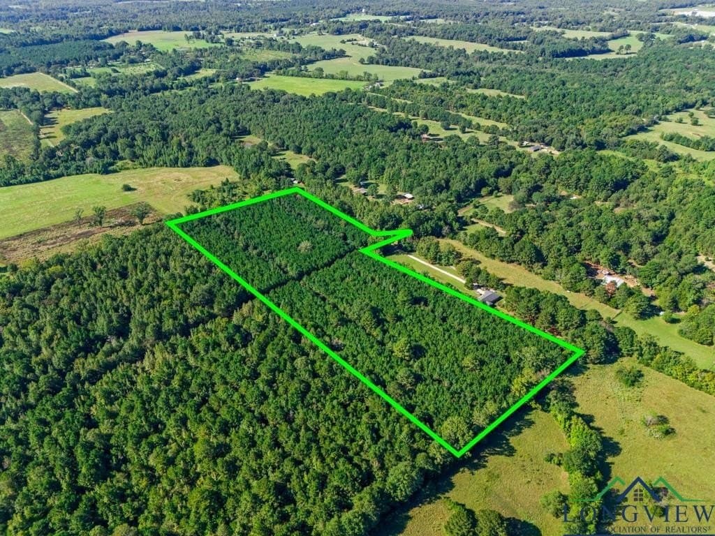 12.53 acres in Upshur County - photo 17