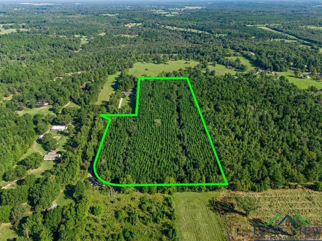 12.53 acres in Upshur County - photo 20