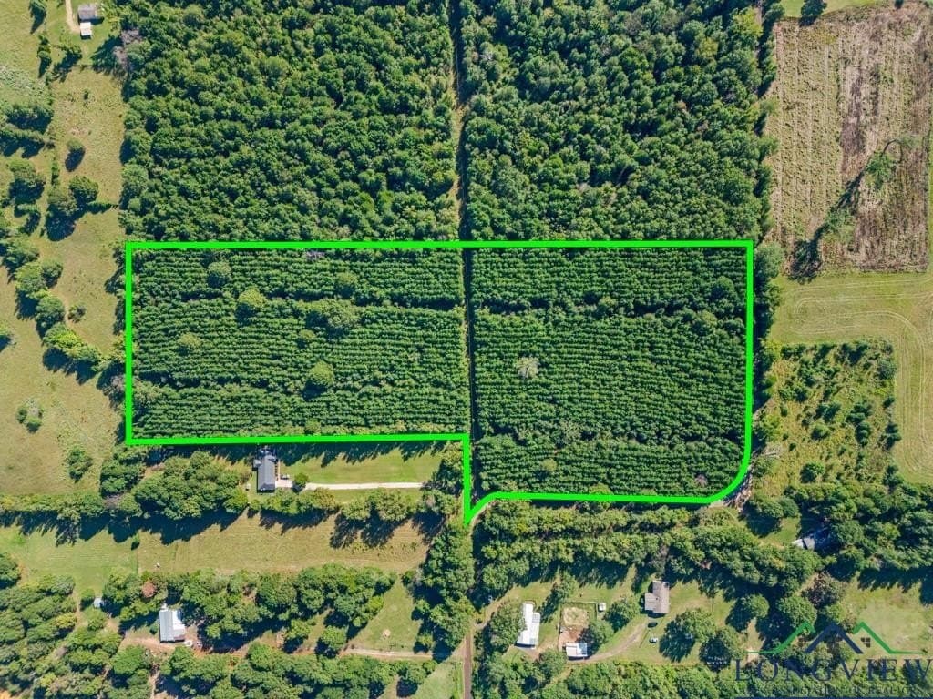12.53 acres in Upshur County - photo 14