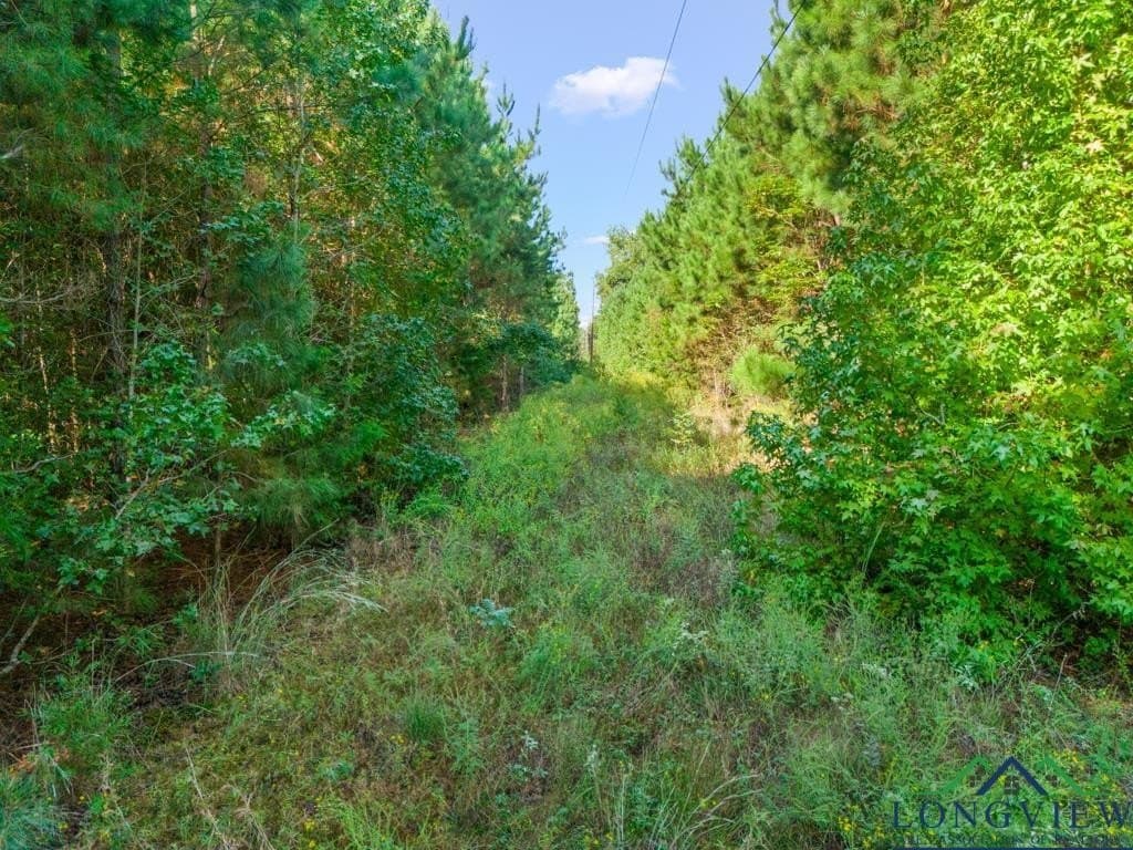 12.53 acres in Upshur County - photo 10